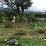 🌱 Cosecha de Esperanza: Cuando la Agricultura se Convierte en Medicina Social