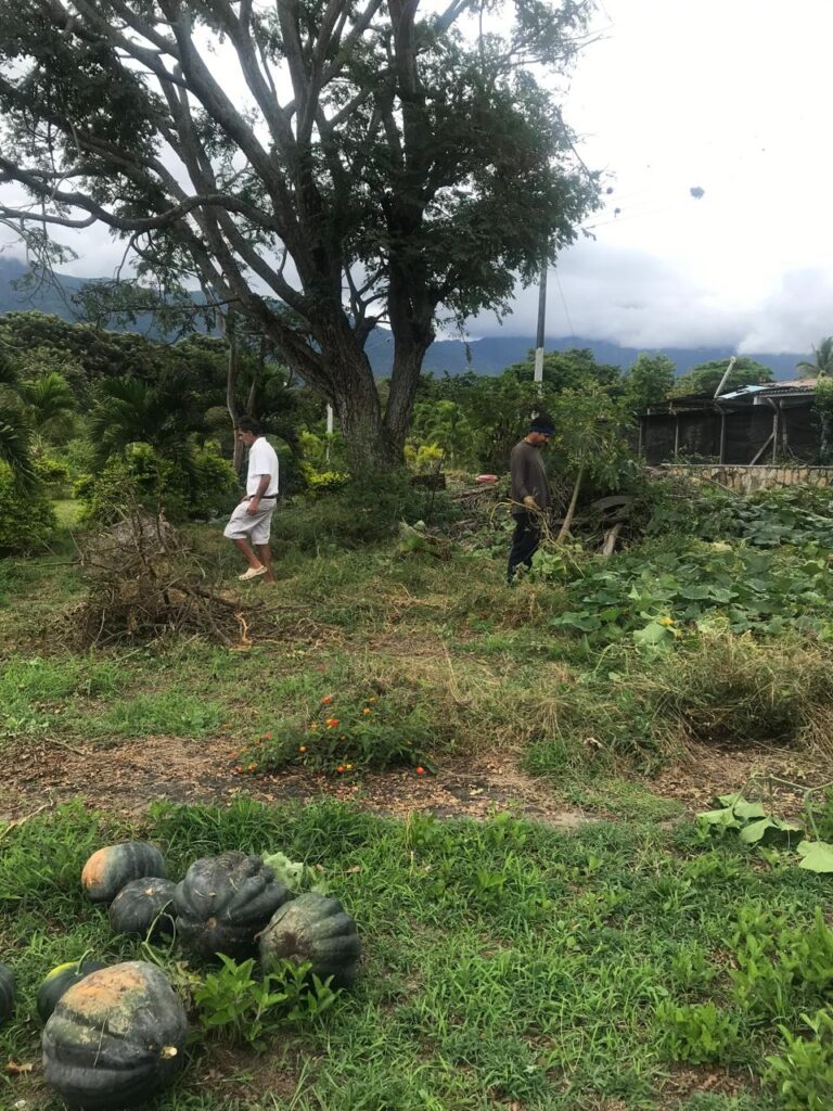 🌱 Cosecha de Esperanza: Cuando la Agricultura se Convierte en Medicina Social