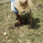 Reservas Naturales de Cundinamarca: Santuarios de Biodiversidad Cerca de Ti