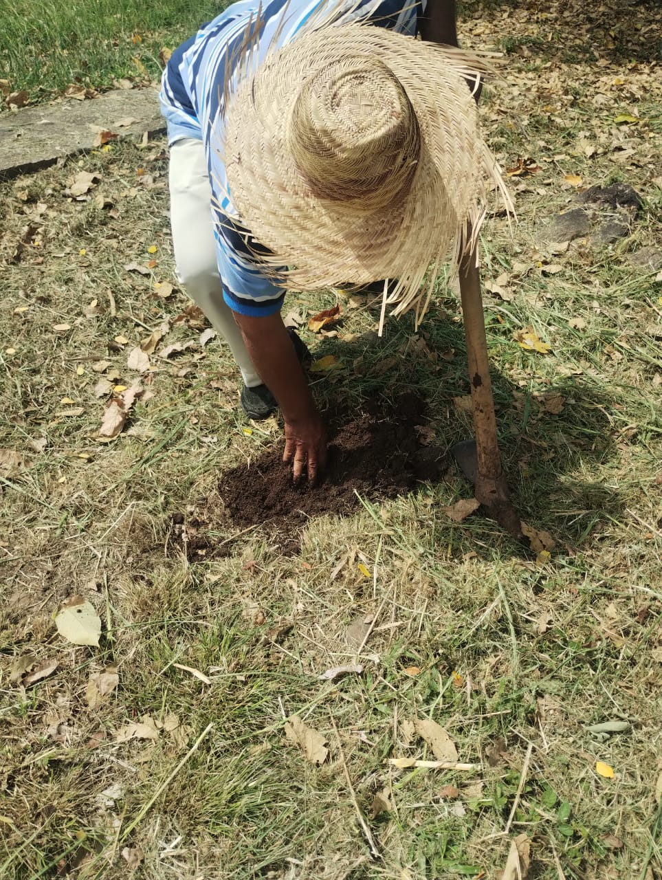 Lee más sobre el artículo Reservas Naturales de Cundinamarca: Santuarios de Biodiversidad Cerca de Ti